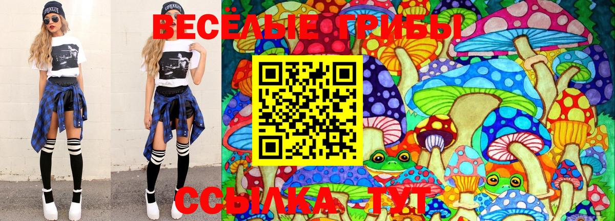 купить  сайты  Псилоцибиновые грибы GOLDEN TEACHER  Дивногорск  Вход с VPN  Галлюциногенные грибы Psilocybine cubensis 