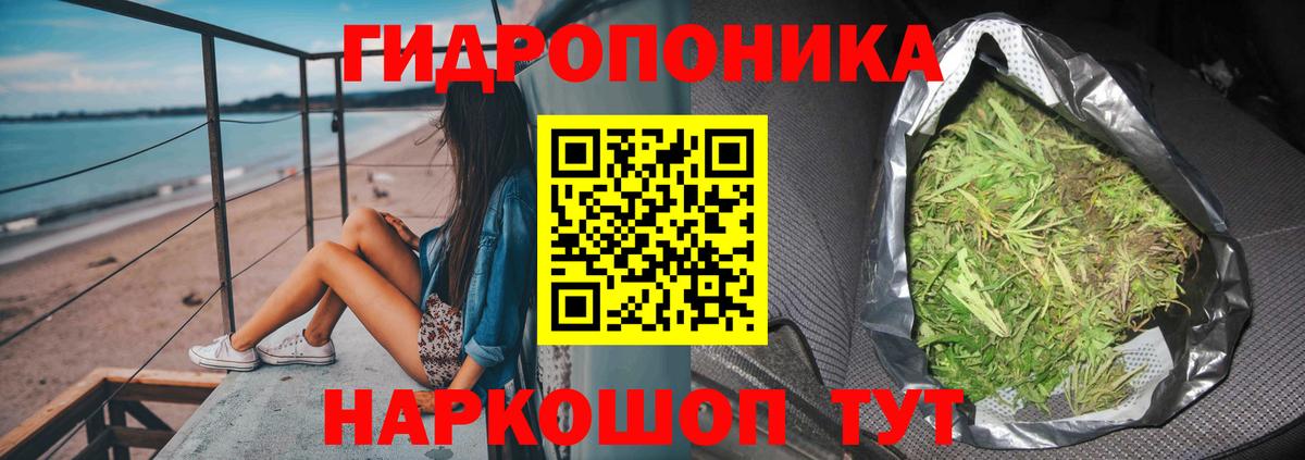 Канабис гибрид Дивногорск